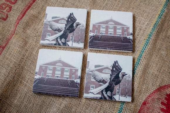 Bentley University Drink Coasters - Winter Themed