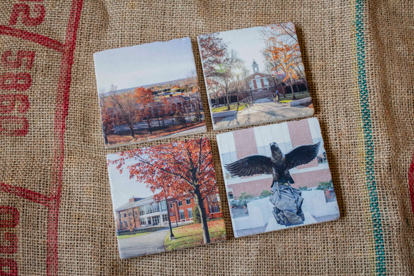 Bentley University Drink Coasters - Fall Themed