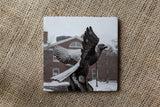 Bentley University Drink Coasters - Winter Themed